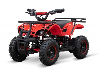 Electric quad bike sales 1000w